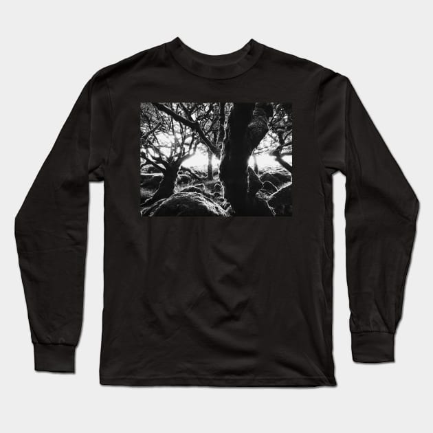 Black and White Shot of Ancient Whistman's Wood at Sunrise (Dartmoor NP, England) Long Sleeve T-Shirt by visualspectrum